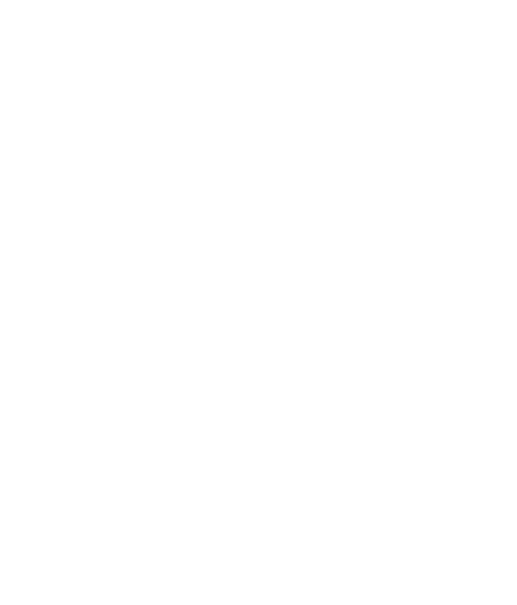 R-C (1)